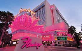 Flamingo Vegas